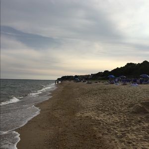 Meet your Posher, Shelley